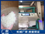 大型kaiyun·开云（中国）官方网站